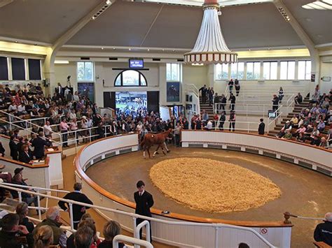 tattersals results|Tattersalls 2021 October Yearling Sale .